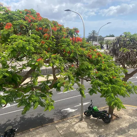 Toscal * Santa Cruz de Tenerife