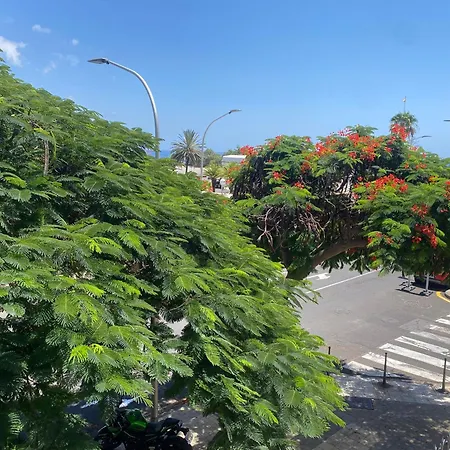 Apartmán Toscal Santa Cruz de Tenerife