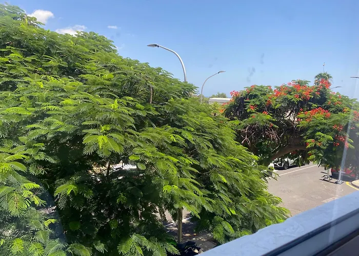 Apartamento Toscal Santa Cruz de Tenerife