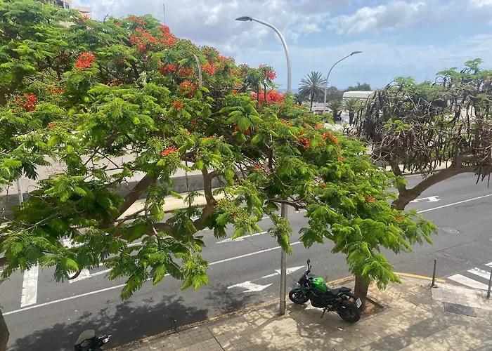 Toscal * Santa Cruz de Tenerife