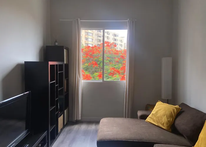 Toscal * Santa Cruz de Tenerife